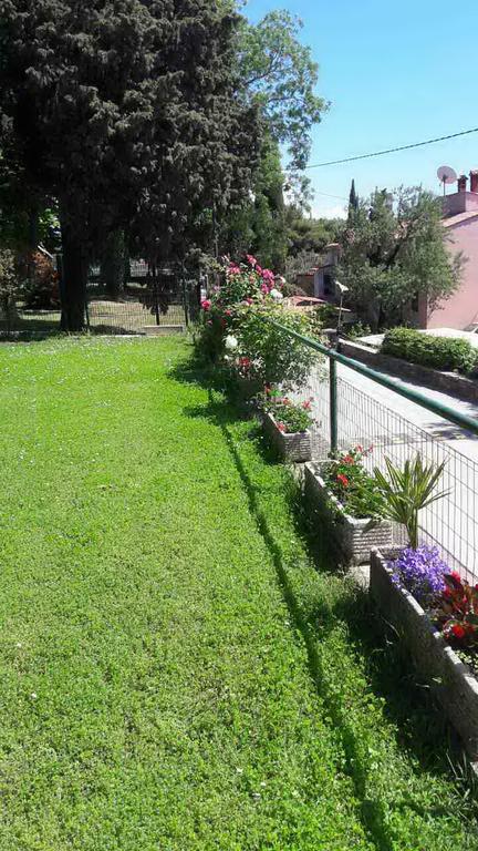 Apartmaji, Sobe - Obzidje Hotel Piran Exterior photo